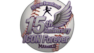 dream star fighting marigold mayu iwatani anniversary