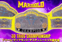 marigold 3D trios championship, marigold dream diamond destiny championship