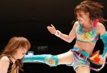 mayu iwatani, saki kashima