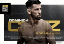 dominick cruz ufc