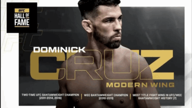dominick cruz ufc