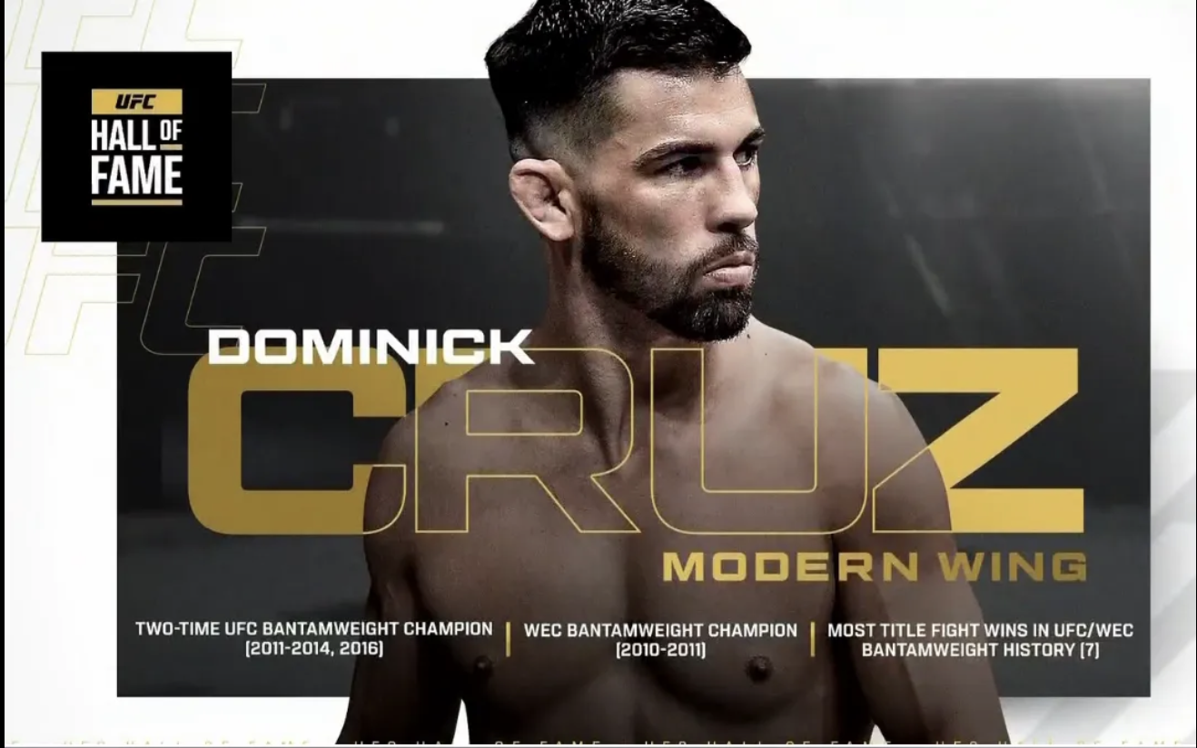 dominick cruz ufc