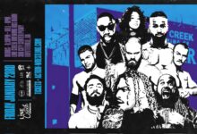 action you could be mine