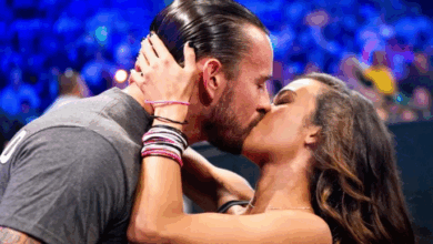 CM Punk AJ Lee