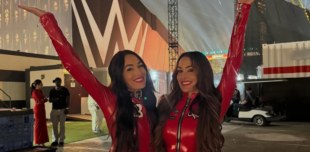 Brie Bella: Every Time Myself And Nikki Bella Step In The Ring, It's Like Groundhog Day