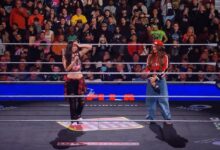 Nikki Bella Brie Bella Bella Twins