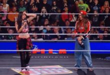 Nikki Bella Brie Bella Bella Twins