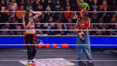 Nikki Bella Brie Bella Bella Twins