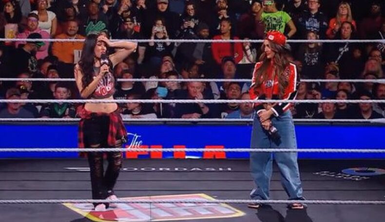 Brie Bella Thought About Stepping Back From Competing After Nikki Bella’s Injury