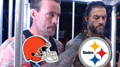 CM Punk Roman Reigns