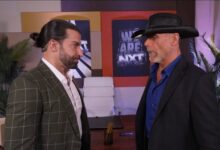 robert stone, shawn michaels