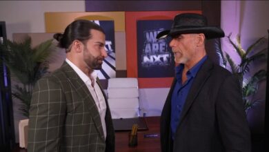 robert stone, shawn michaels