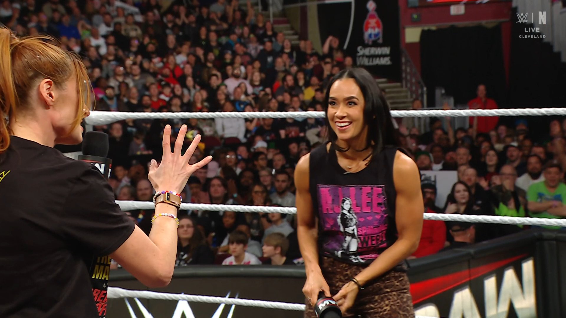 AJ Lee Calls Bayley Her Favorite Wrestler And Her Role Model, 'That Was My Dream Match'