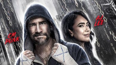 WWE Elimination Chamber Fight Size