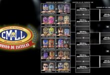 CMLL Torneo de Escuelas 2026 Brackets Made Official