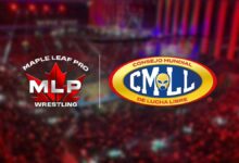Maple Leaf Pro CMLL Fight Size