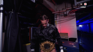 cm punk