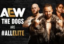 David Finlay The Dogs