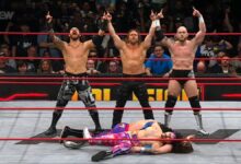 David Finlay gabe kidd, clark connors dogs