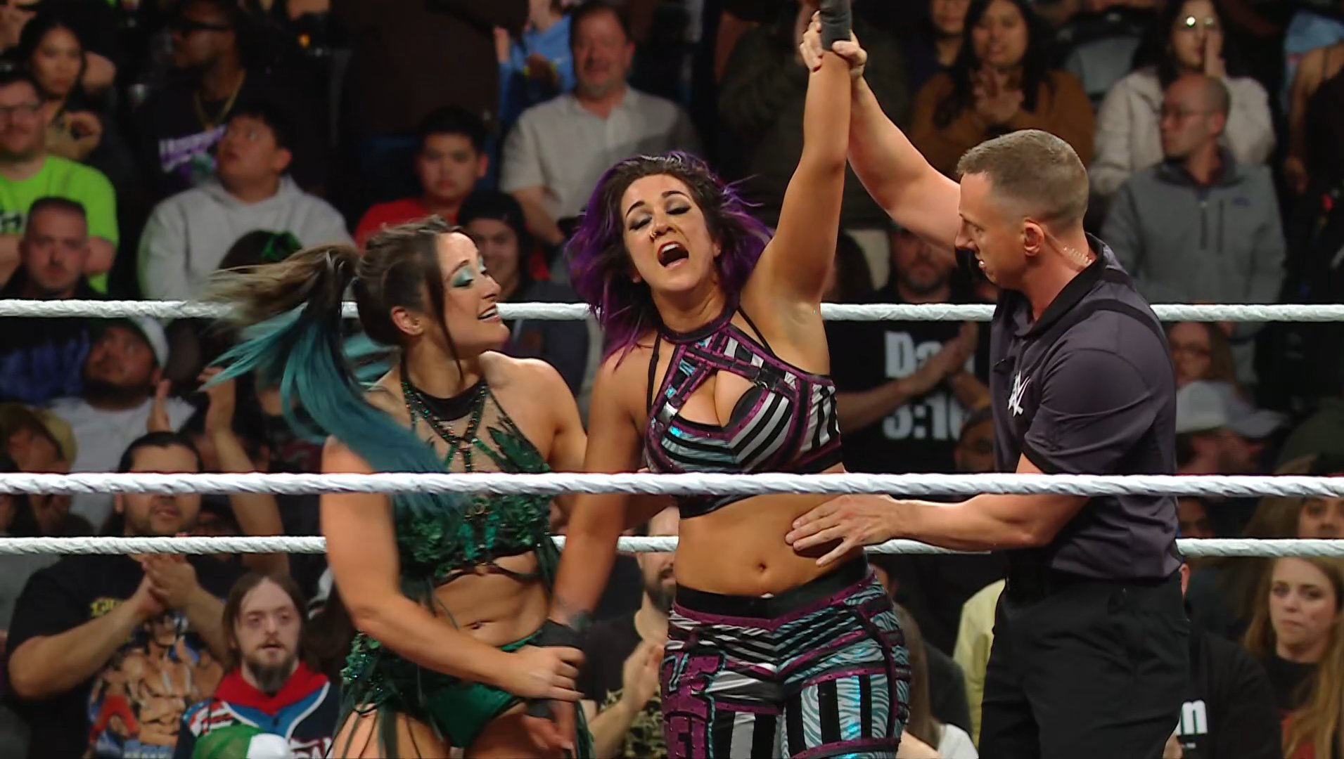 Bayley Says Current WWE Theme Song Wasn't Meant To Be Permanent