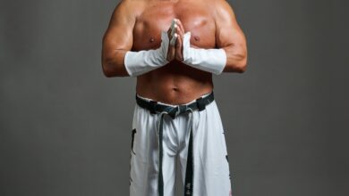 Jinsei Shinzaki (Hakushi) Undergoes Surgery For Distal Radius Fracture In Left Wrist
