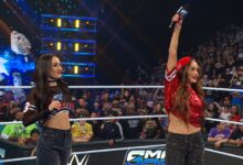 The Bella Twins (Nikki Bella and Brie Bella)