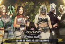 rey fenix, lola vice, mr. iguana, la hiedra, Colmillo de Plata, garra de Oro, money machine