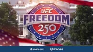 ufc freedom 250 White House