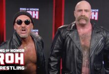 Butcher Blade Fight Size