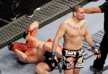 cain velasquez, brock lesnar