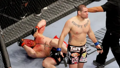 cain velasquez, brock lesnar