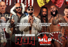 mlp x roh global wars tag team titles