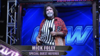 mick foley