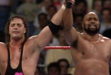 bret hart, bad news brown