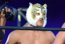 tiger mask iv