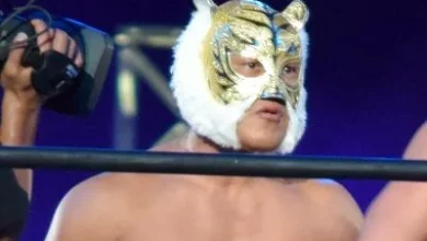 tiger mask iv