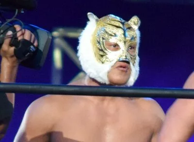 tiger mask iv