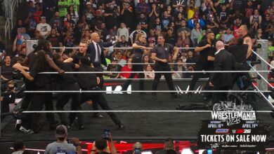 Oba Femi Brock Lesnar