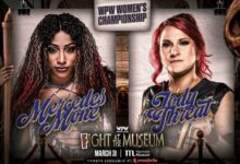 wpw fight at the museum 4