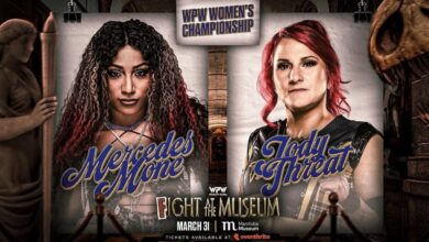 wpw fight at the museum 4