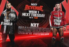 tony d'angelo, ethan page