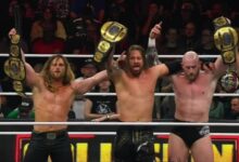 the dogs aew collision