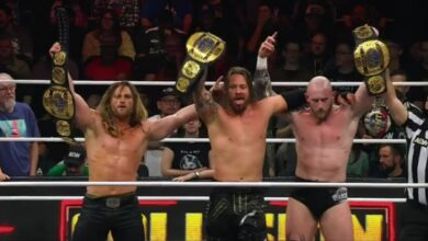 the dogs aew collision