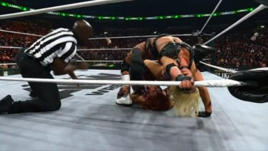 thekla, jamie hayter