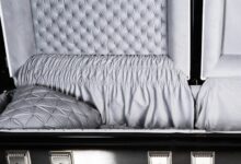 Fight Size WWE Auction