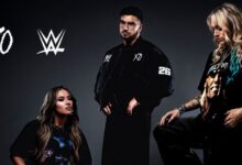 WWE XO Fight Size