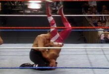 triple h, paul levesque, marty garner, cham pain, pedigree