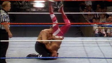 triple h, paul levesque, marty garner, cham pain, pedigree