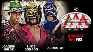 lince dorado, joaquin wilde, aero star