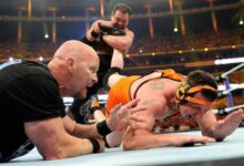 jerry the king lawler, michael cole, stone cold steve austin